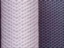 Galvanized Wire Mesh/Chicken Netting/Fence Netting 